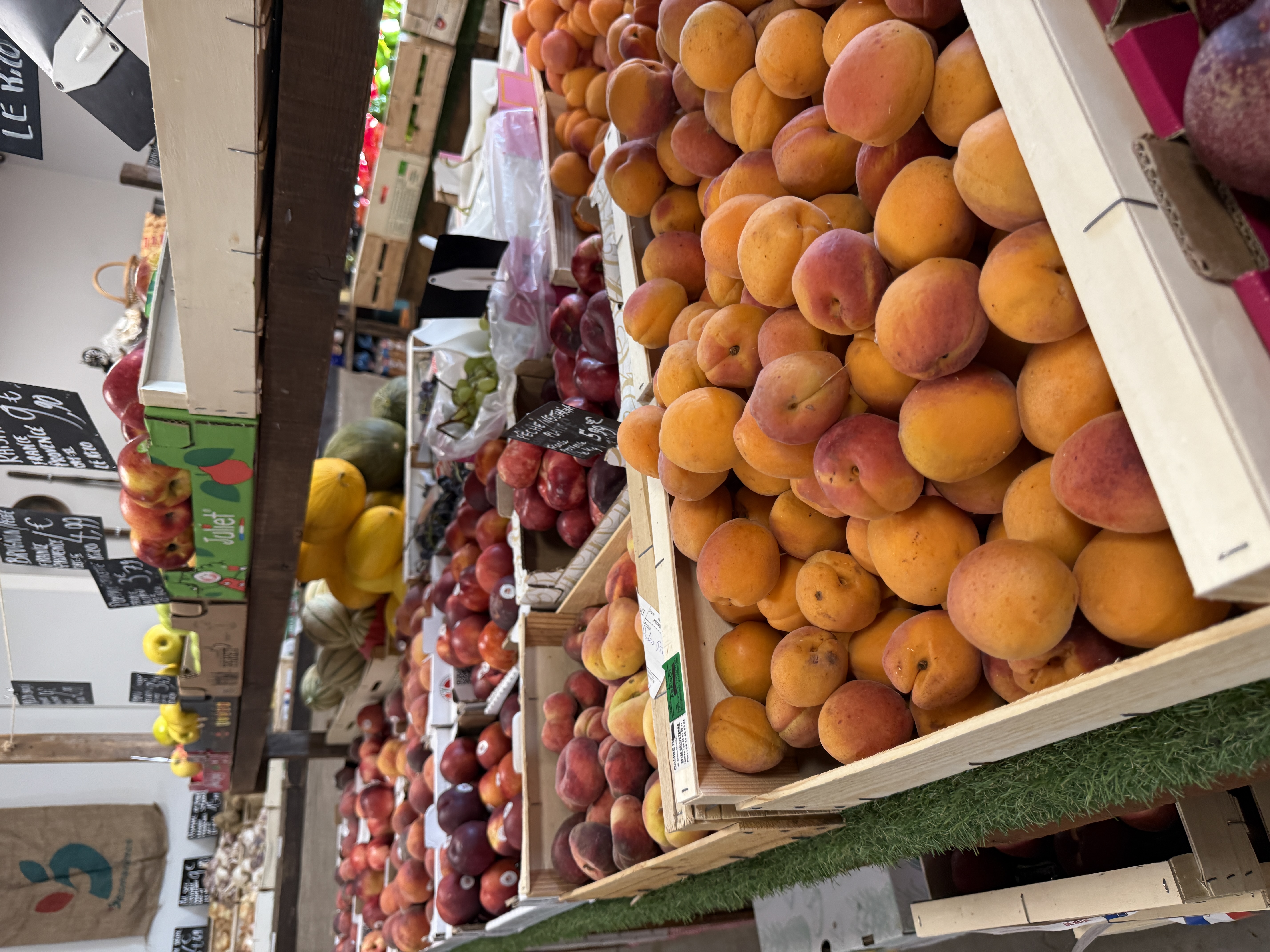Fruits d'été : pêches et abricots